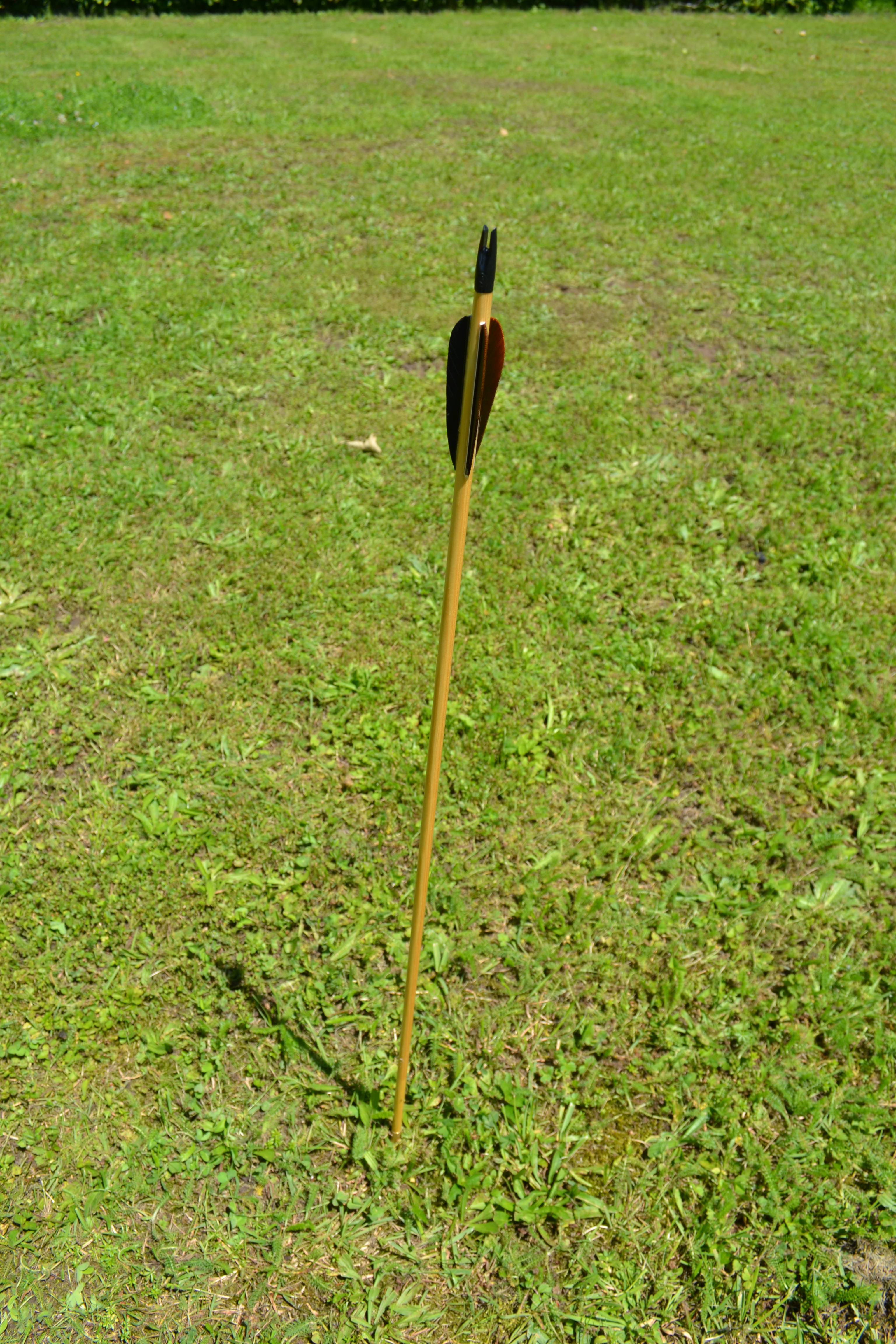 Holzpfeil im Boden_DSC_0224