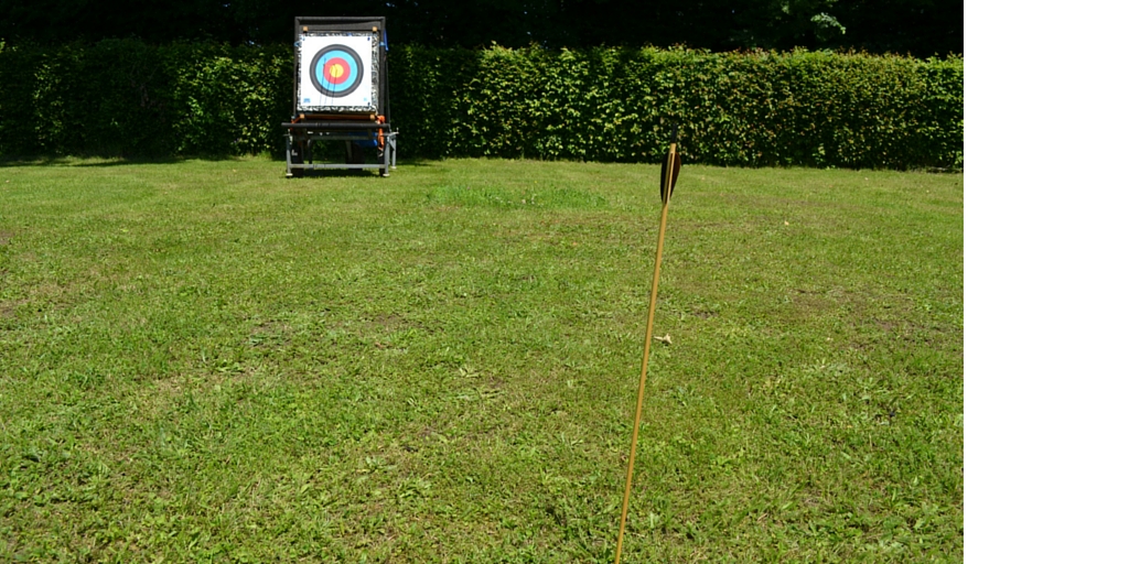 Pfeil im Gras vor Scheibe