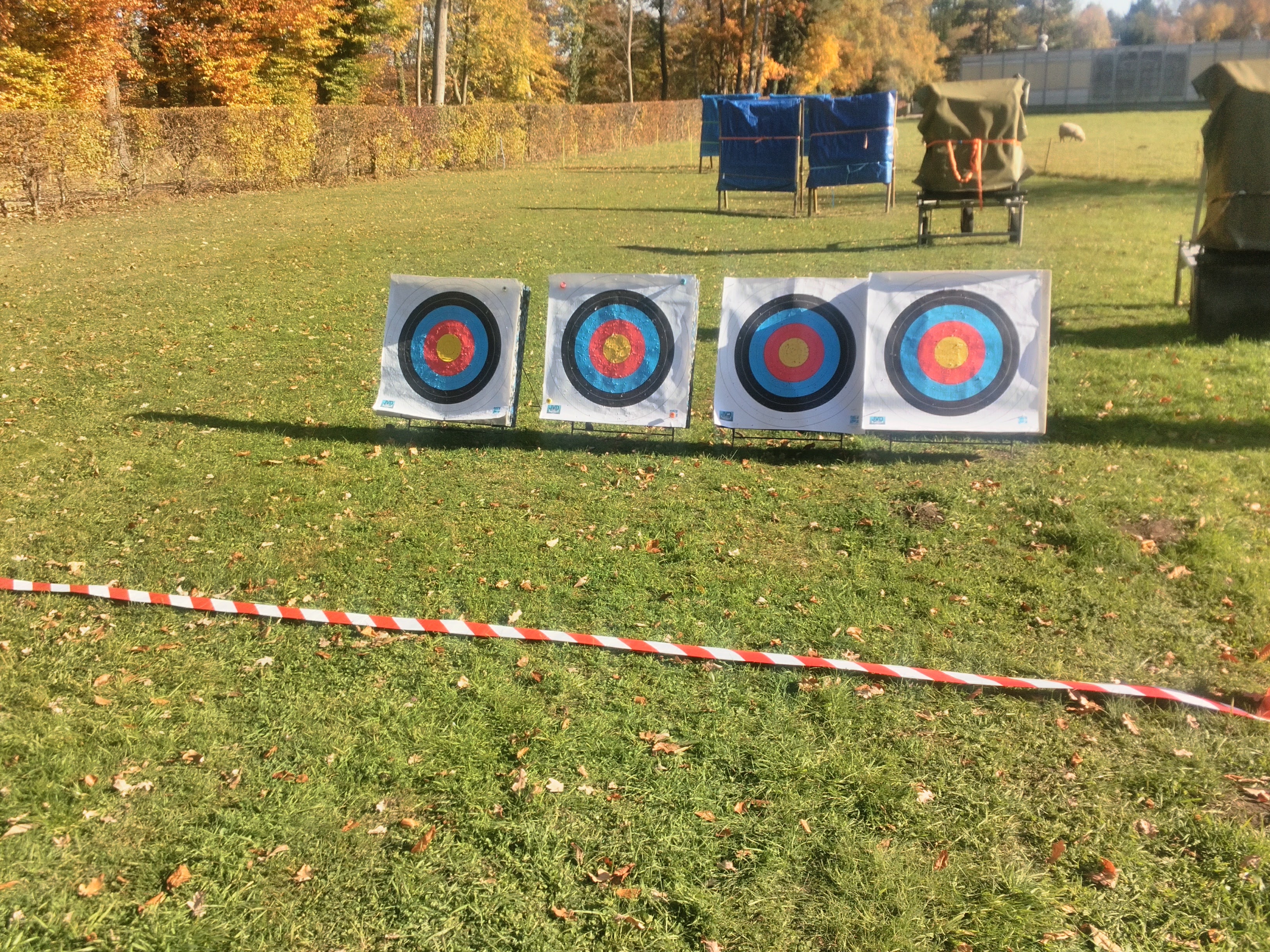 Scheiben für Kindergeburi