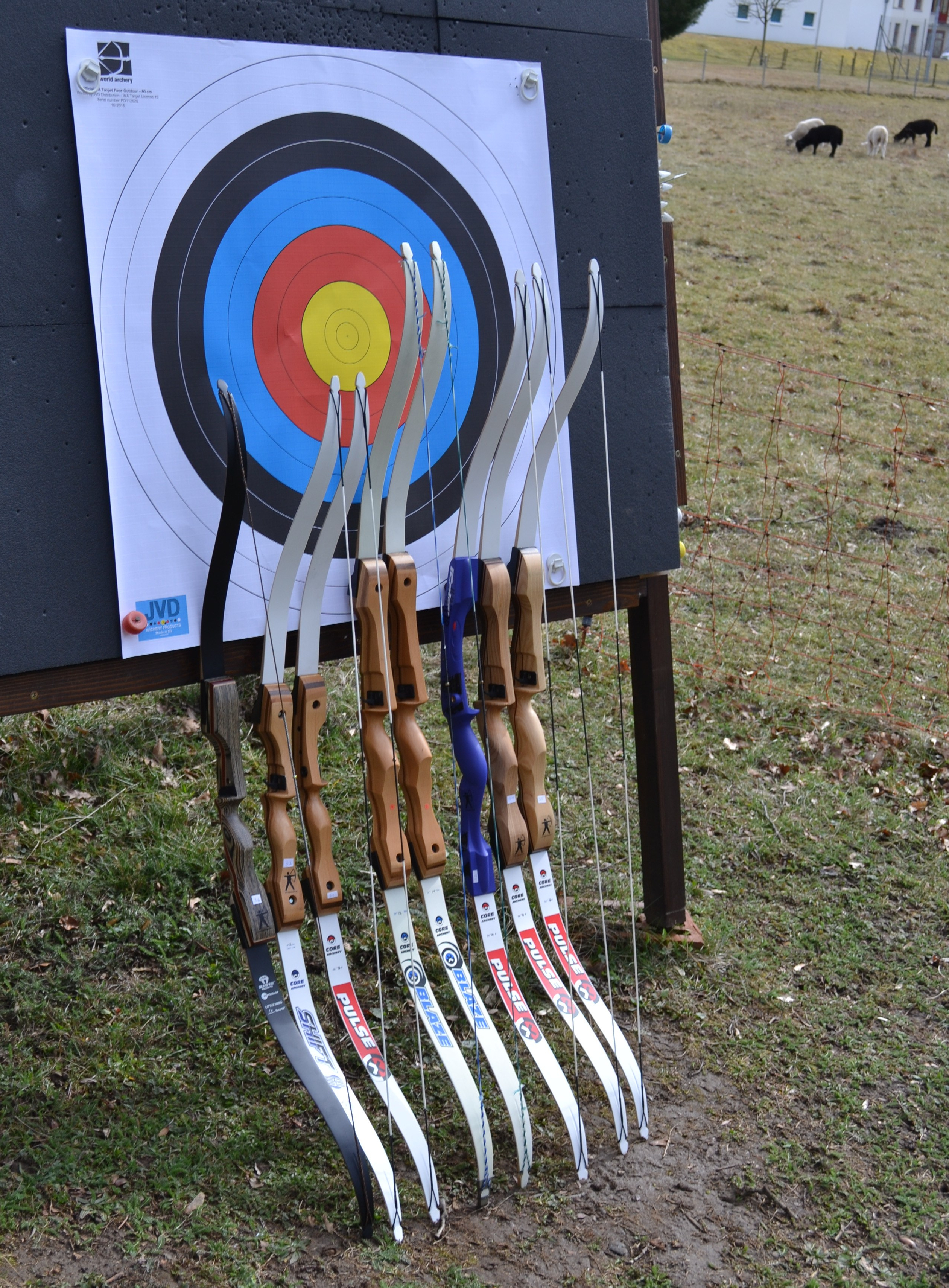 Kinderbögen vor Scheibe mit Schafe